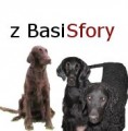 z BasiSfory