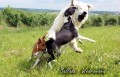 Ballada o Wędrowaniu
