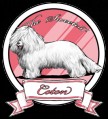 THE SWEETEST COTON